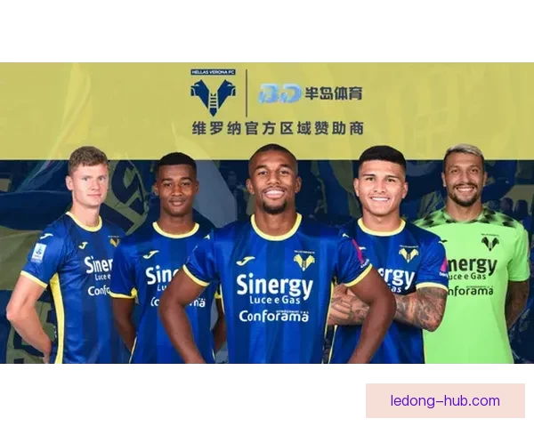 乐动体育官方网站：全方位探索运动健身与赛事娱乐的完美结合