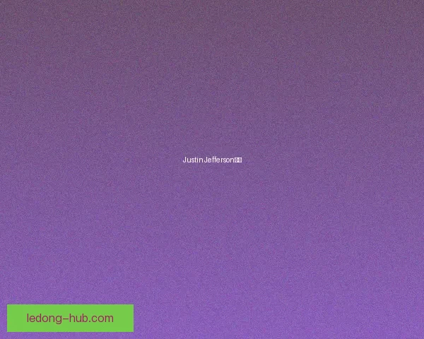 JustinJefferson解析